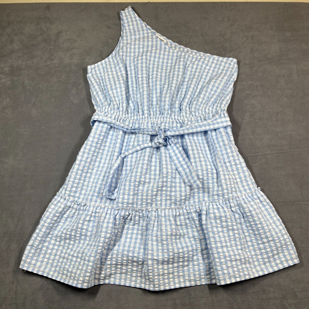 Chloe + Rene Dress 1X Blue Gingham Seersucker One-Shoulder Belted Fit & Flare‎